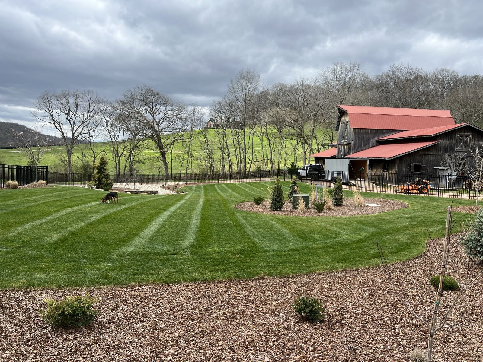 The finished lawn and planting after the build