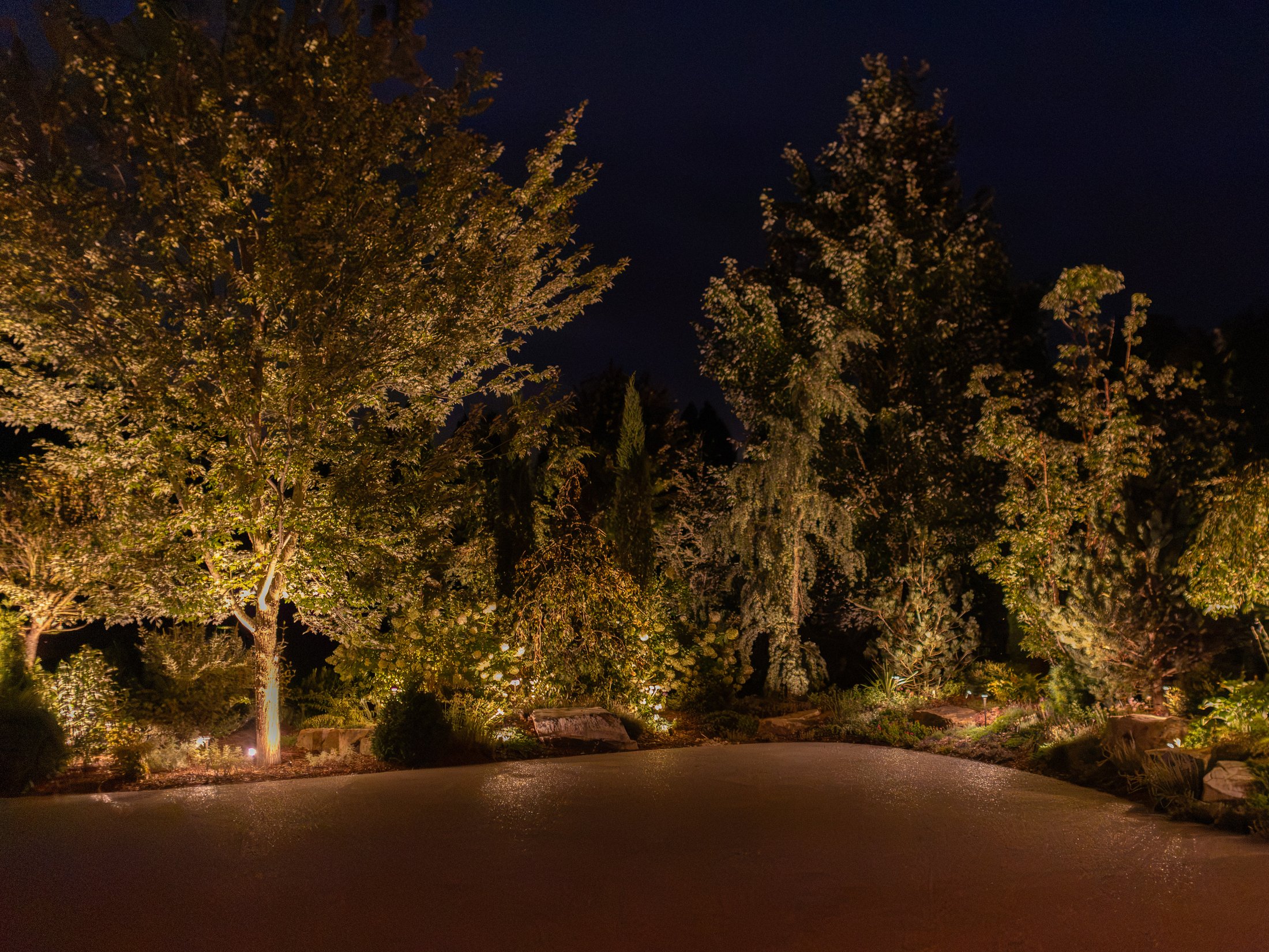 Lit garden and trees along a driveway at night