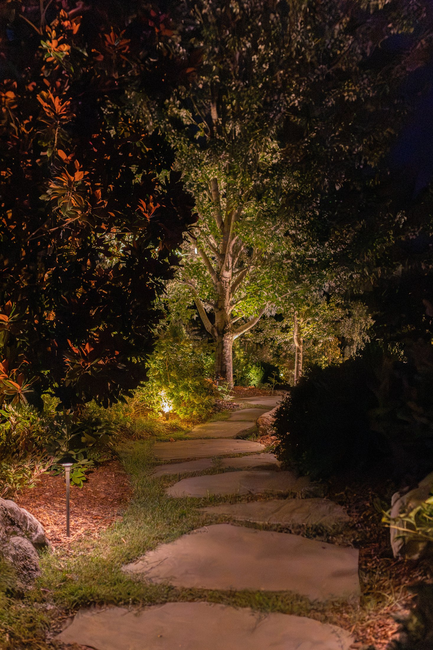 Stone path lit at night beneath a magnolia canopy