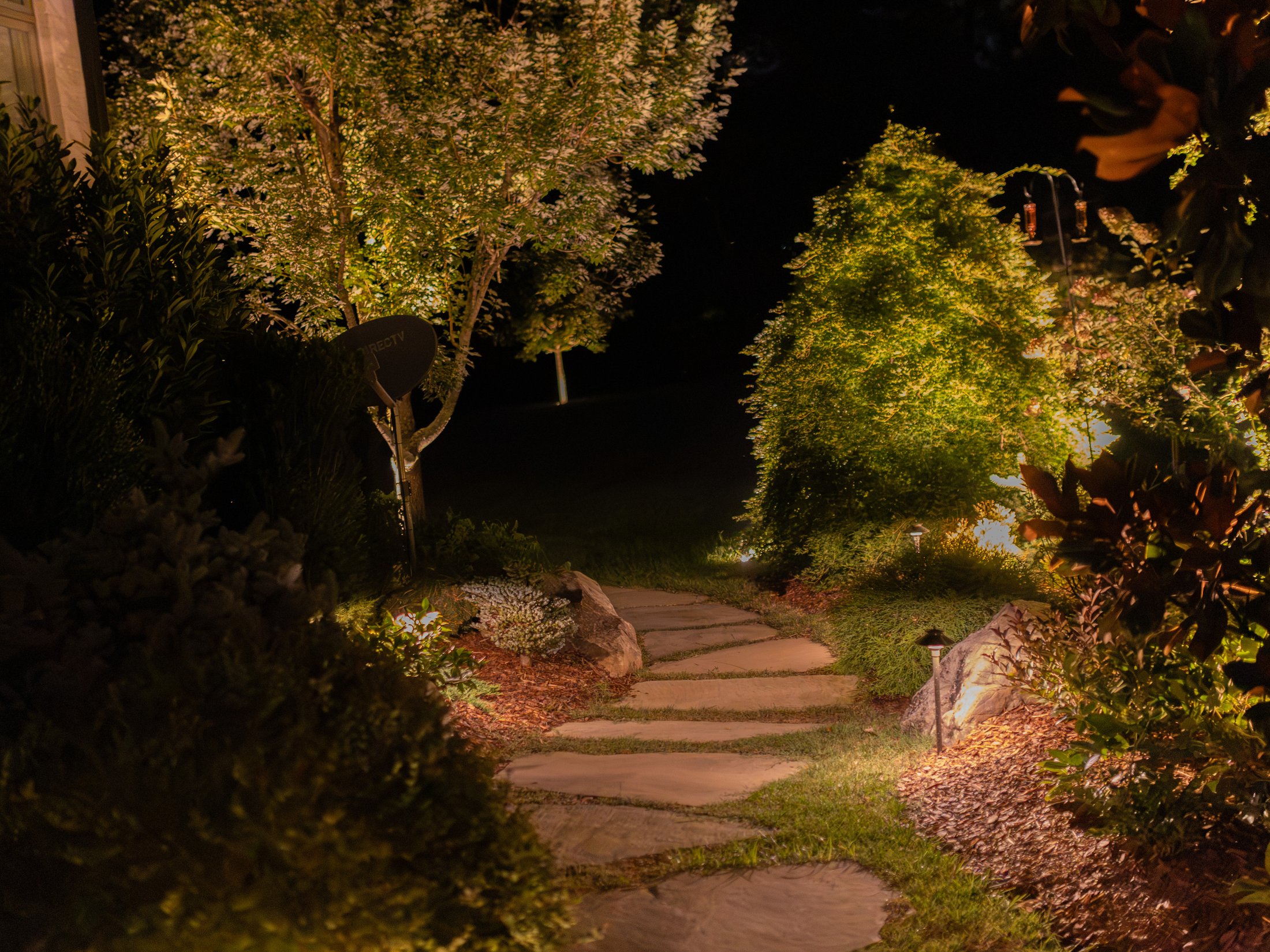Uplit trees over a stone path at night